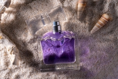 Perfume02_DSC01436